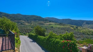 Un camí rural sinuós que serpenteja per un paisatge amb turons, vegetació abundant i muntanyes llunyanes.