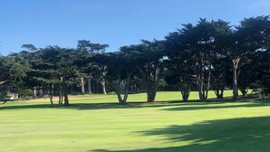 A golf course with a well-maintained green fairway and trees in the background.