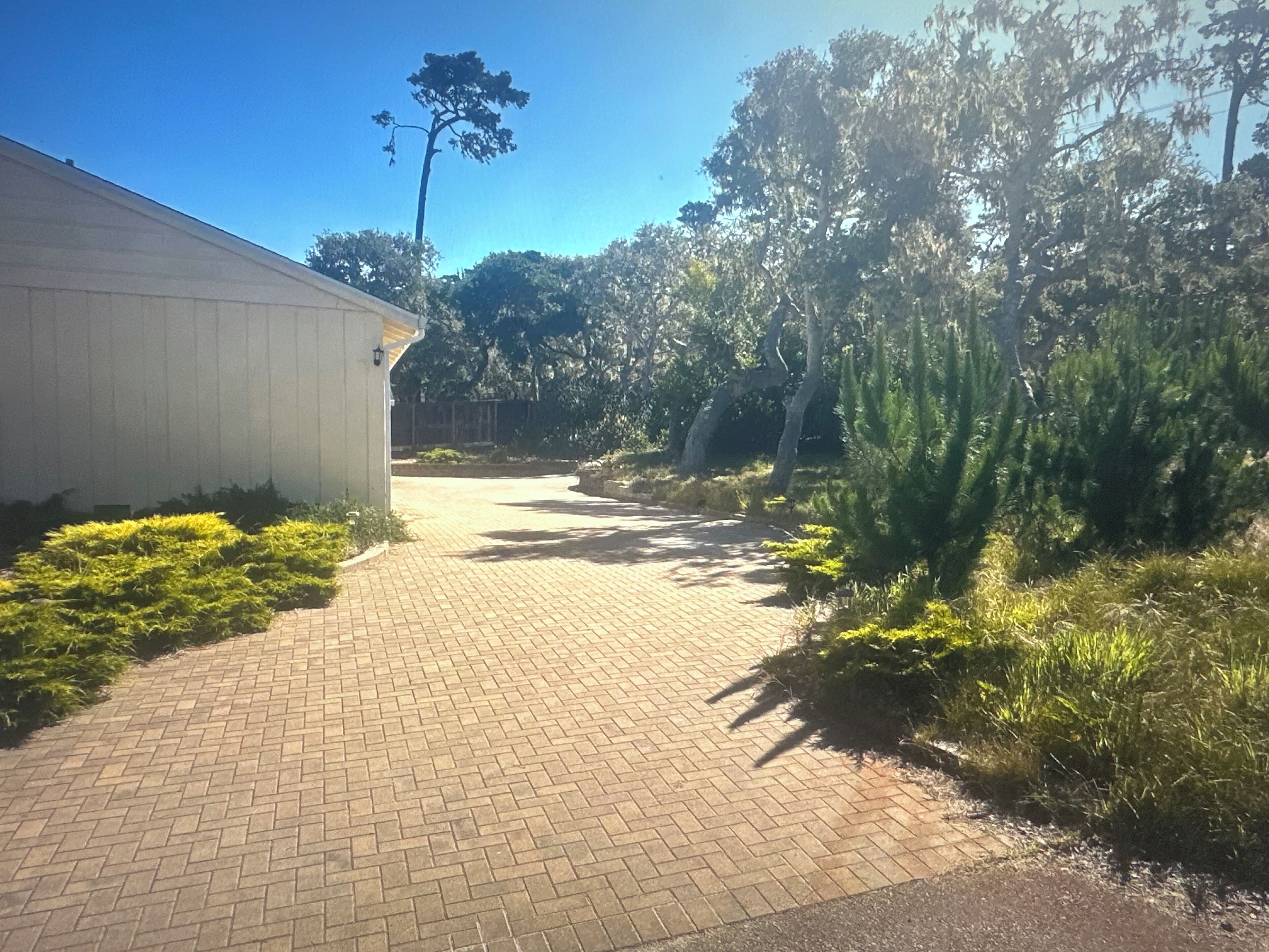 A paved pathway leading to a building with a white exterior, surrounded by greenery and trees.