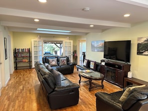 Televisor, llar de foc, reproductor de DVD i llibres