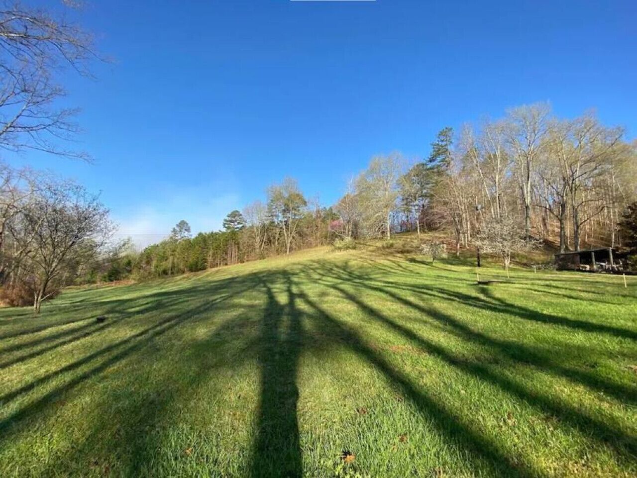 Un campo cubierto de hierba con árboles y un cielo despejado.
