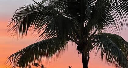 It’s all here for you. Lagoon, pool, sun deck, kayaks, sunsets.