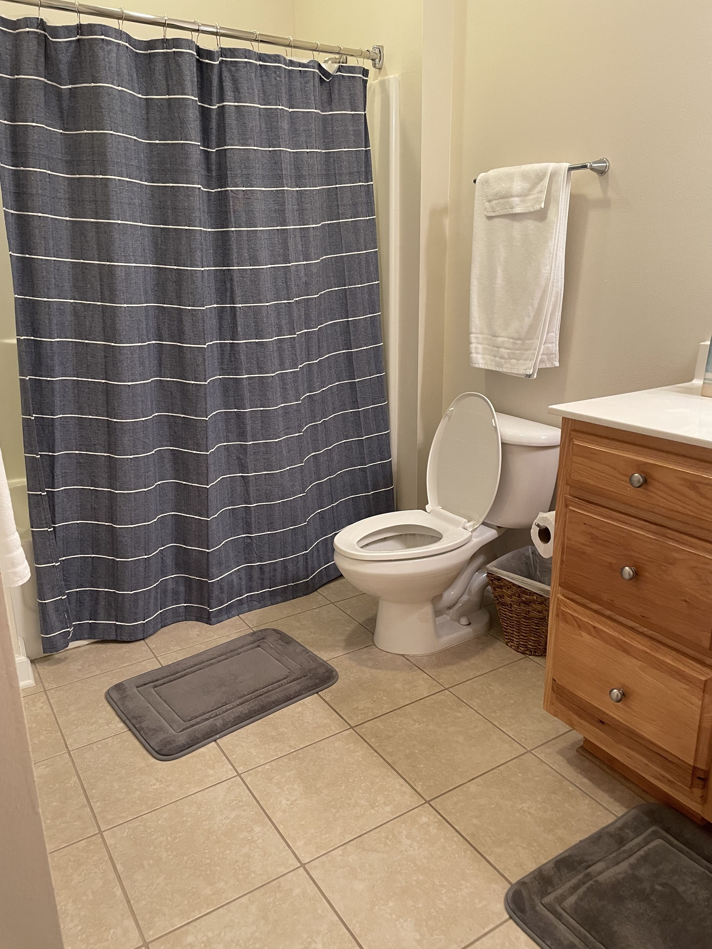A bathroom with a striped shower curtain, a white toilet, a wooden vanity, and a small rug on the floor.