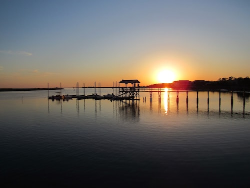 Scallop and Fishing Paradise