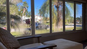 A room with a large window overlooking a street with palm trees and parked cars.