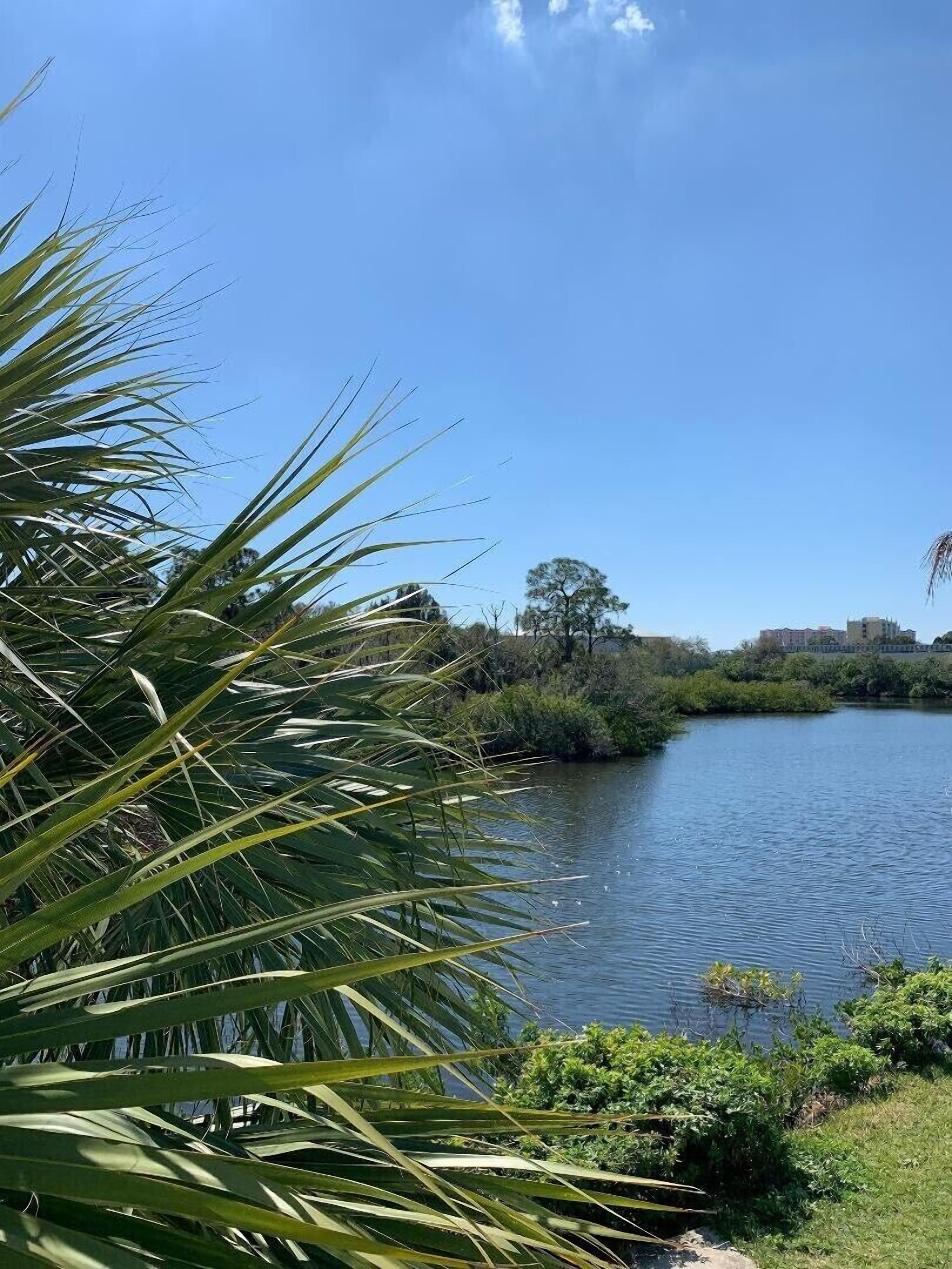 2 BR. on the Water, Bayou to Gulf of Mexico, beach 4 minutes, downtown 3 minutes
