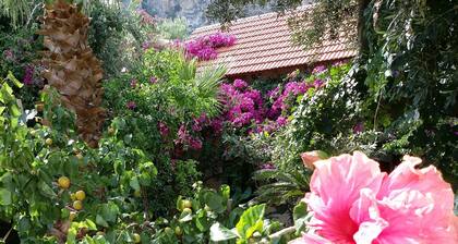 Beautiful Cottage in S West Crete Near the sea