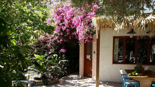 Un espace patio avec des chaises bleues et une table, entouré d’une végétation luxuriante et de fleurs roses.
