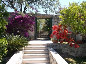 Property grounds - Apartment For 22 Pax In Cavtat (Konavle)