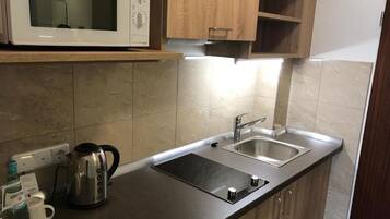 Chambre, 1 chambre, balcon, vue sur la ville | Cuisine privée