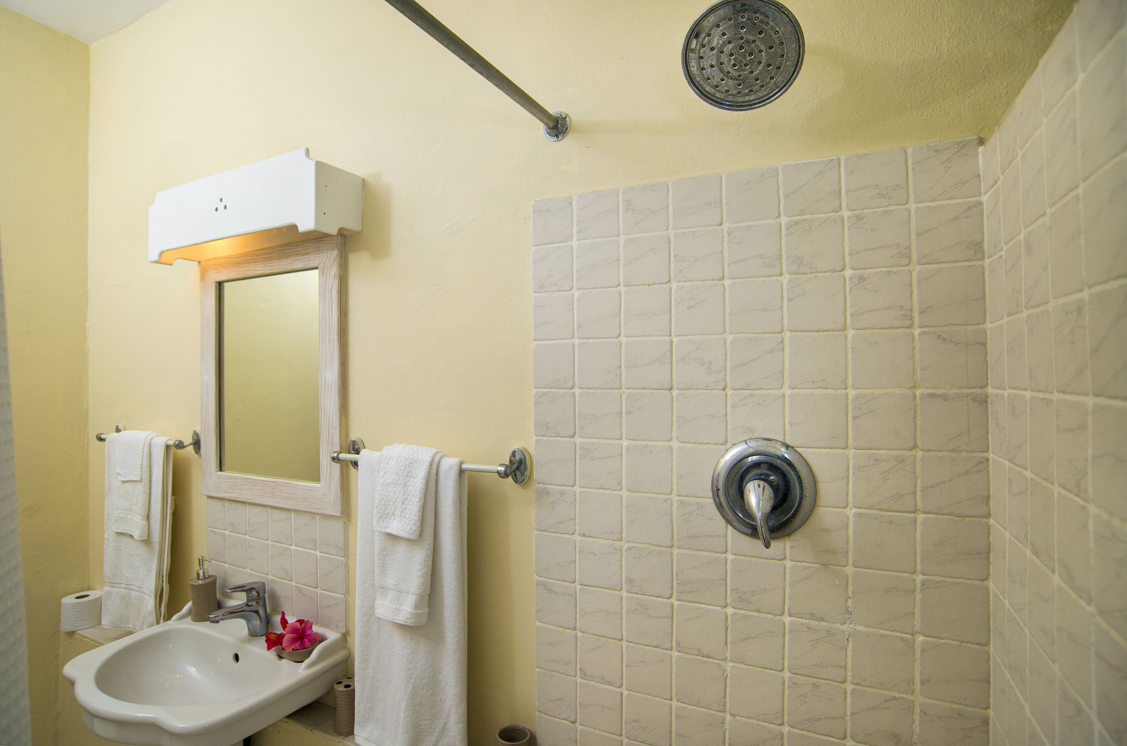 A bathroom with a sink, mirror, and shower.