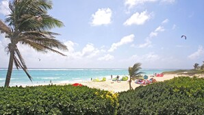 A beach with palm trees, a clear sky, and a sandy shore. - Silver Sands #1 - by Zenbreak (Silver Sands)