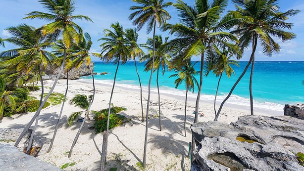 A beach with white sand, palm trees, and clear blue water. - The Gem - by Zenbreak (Apple Hall)