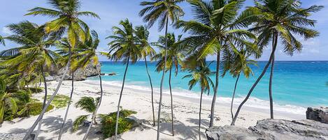 House, 1 Bedroom, Patio, Ocean View | Beach