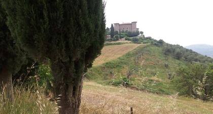 House, Villa - Polveraia, Scansano, Grosseto