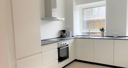 Spacious Apartment in the Heart of Roskilde
