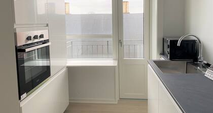 Bright Apartment in the Center of Roskilde