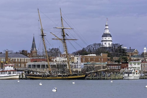 Go Navy! Steps to USNA, City Dock & Street Parking