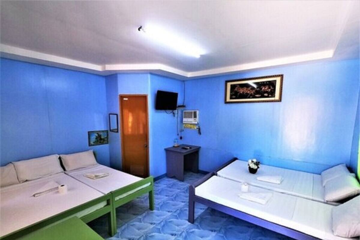 A room with two beds, a desk, a TV, and a small table with a flower.