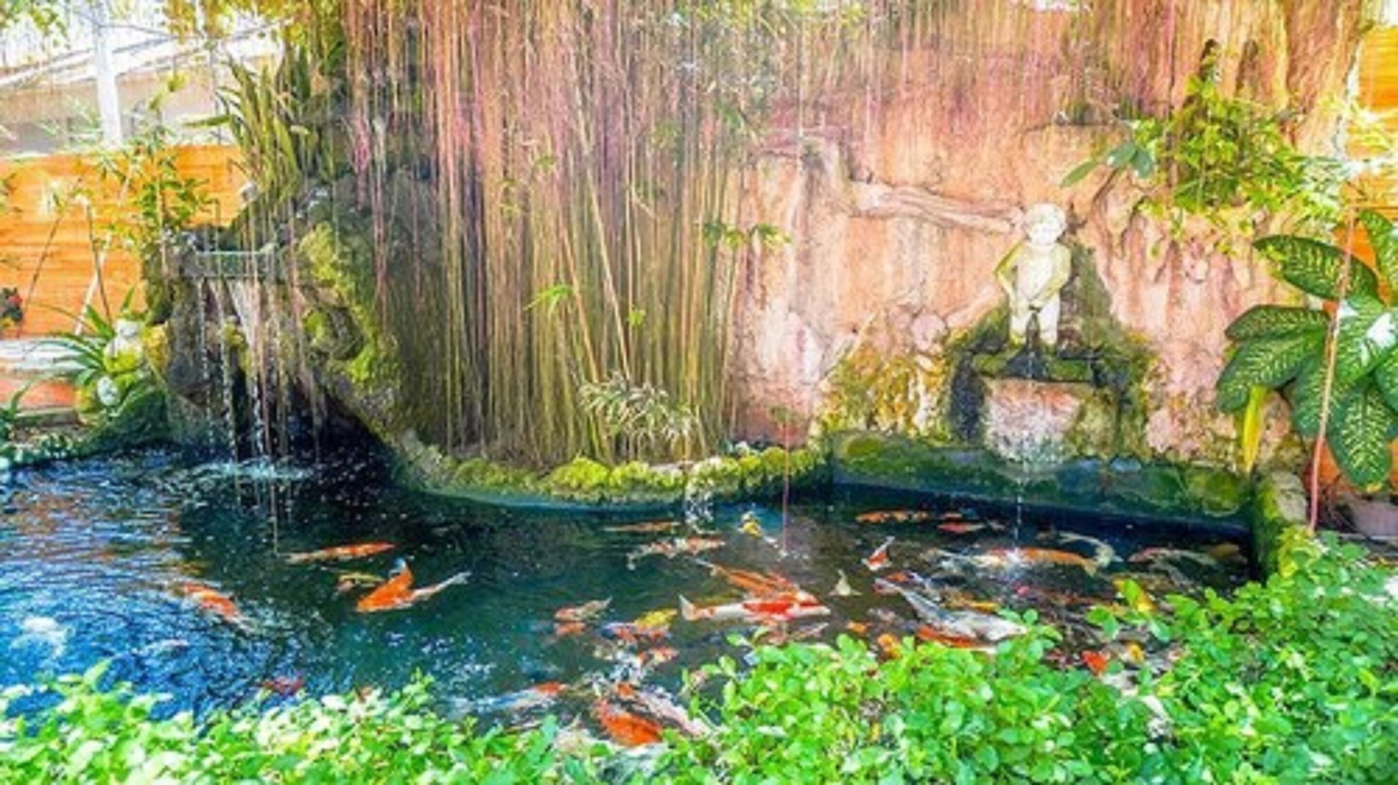 A koi pond with a waterfall and lush greenery.