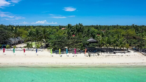 Une plage avec une eau turquoise et limpide, des palmiers, et une rangée de chaises de plage et de parasols.