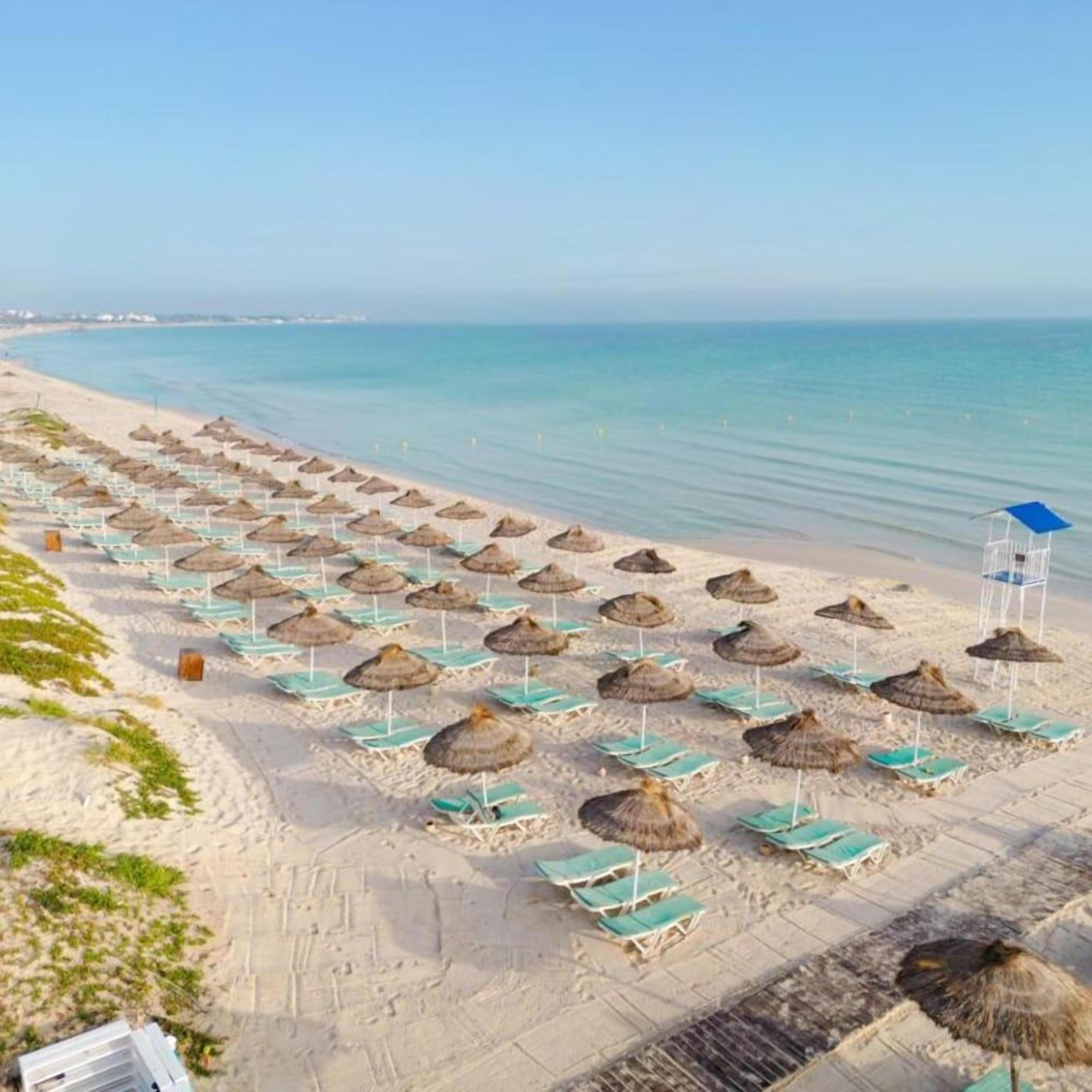 A beach with rows of sun loungers and thatched umbrellas.