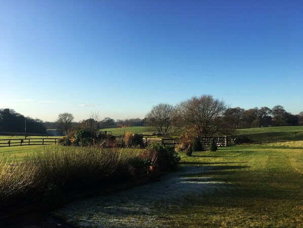 House | Property grounds