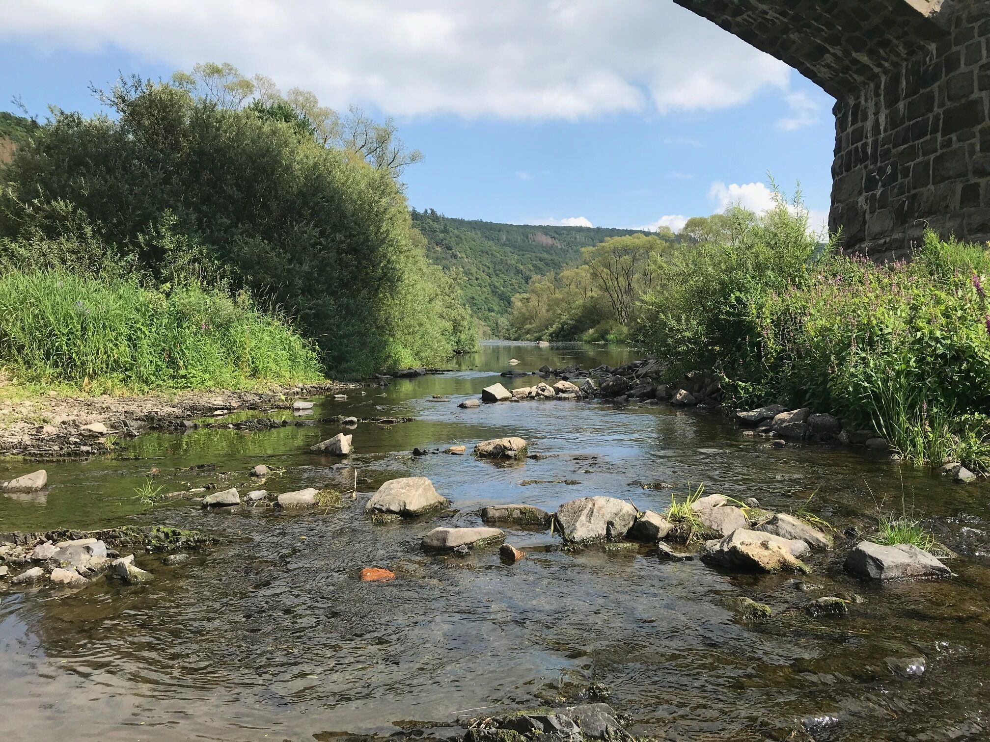 Un río con rocas y vegetación, bajo un puente.