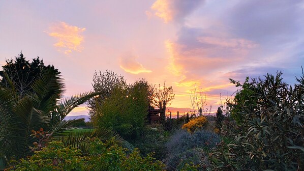 A garden with various plants and trees, a wooden fence, and a sunset in the background.