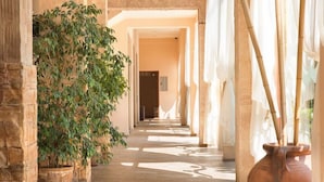 A corridor with stone walls, potted plants, and a large terracotta pot. - Alba (Nessebar)