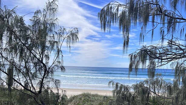 A beach path leading to the ocean with trees and vegetation. - Ideal Beach Family Getaway with Ocean Views (Noosa North Shore)