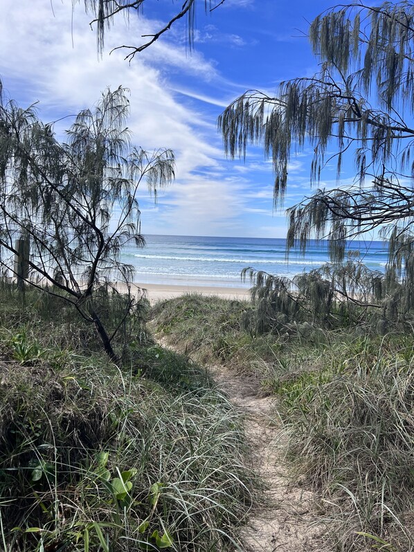On the beach, sun-loungers - Ideal Beach Family Getaway with Ocean Views (Noosa North Shore)