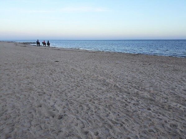 In Strandnähe, Liegestühle