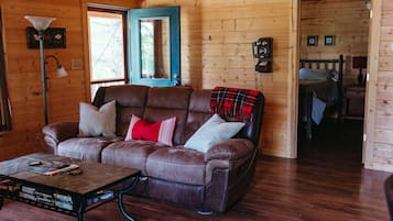 Smart TV, fireplace, DVD player, books