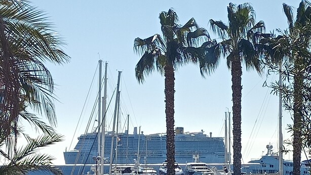 A cruise ship docked at a marina with palm trees and boats. - kaDevi Holiday home -full center, private garage and bikes (Sanremo)