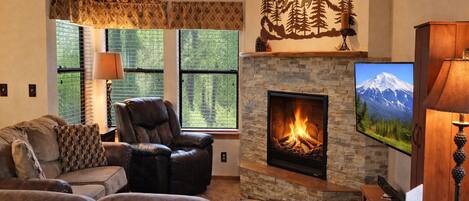 Télévision, cheminée, lecteur de DVD