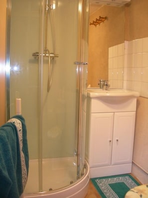 Shower, hair dryer