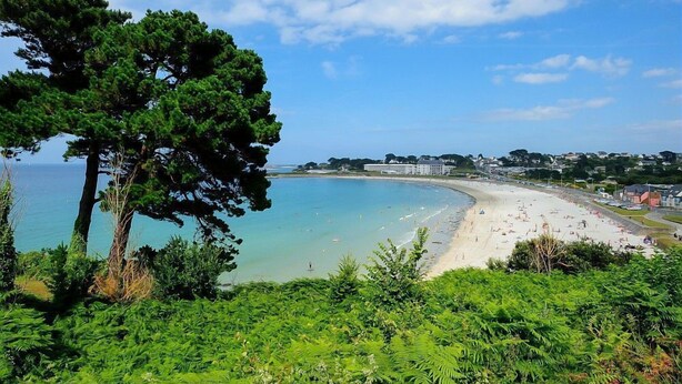 A coastal beach with a sandy shore, a clear blue sky, and a large tree in the foreground. - Ker Mignonette - Trevou Treguignec (TREVOU TREGUIGNEC)