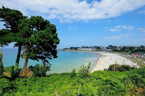 A coastal beach with a sandy shore, a clear blue sky, and a large tree in the foreground. - Ker Mignonette - Trevou Treguignec (TREVOU TREGUIGNEC)