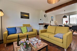 TV, fireplace, books