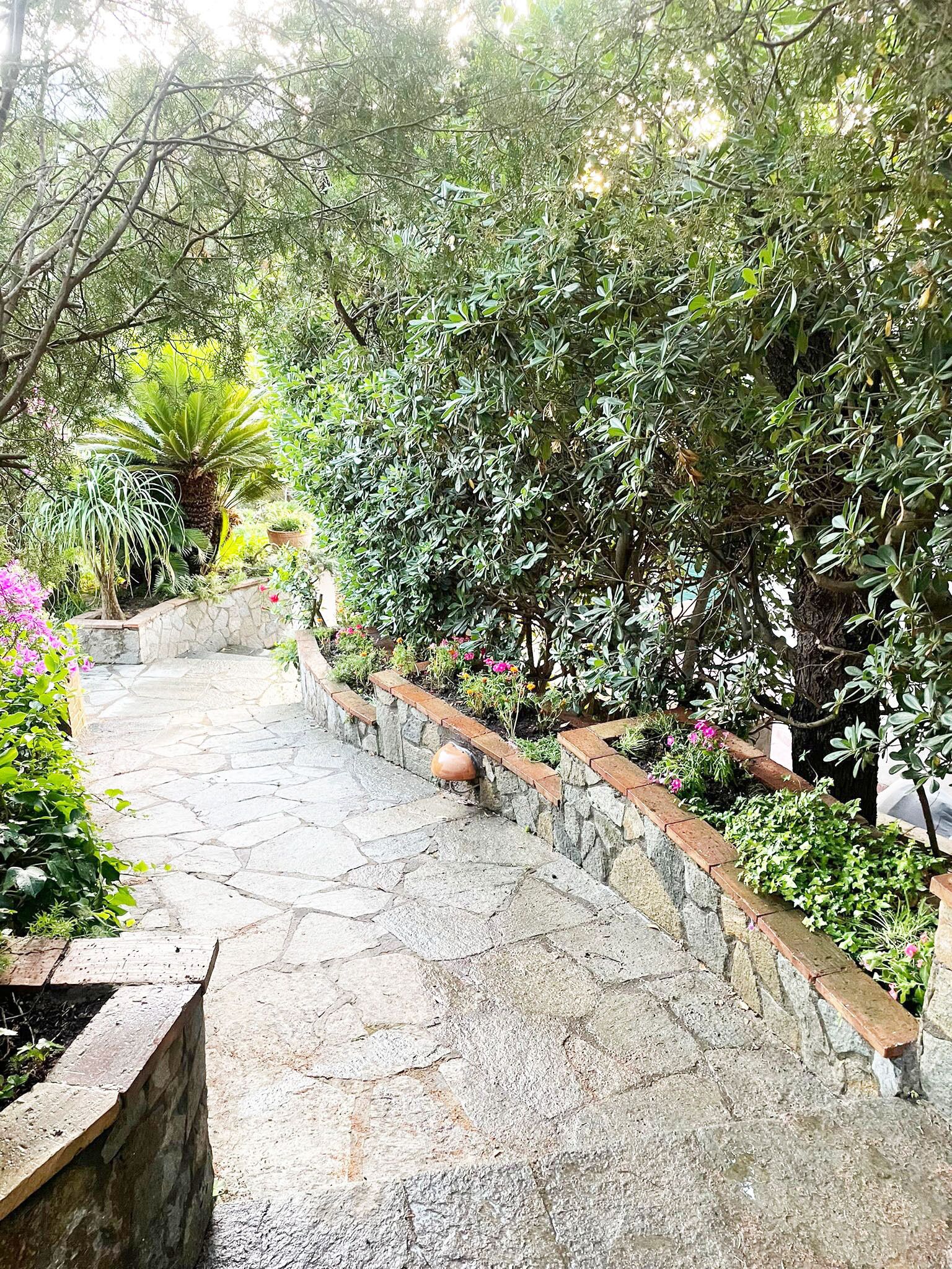 A stone pathway leading through a lush garden with various plants and a small pond.