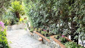 Un sentier de pierre traverse un jardin luxuriant où poussent différentes espèces de plantes, et mène à un petit étang.