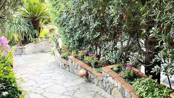 A stone pathway leading through a lush garden with various plants and a small pond.