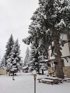 Property grounds - Family studio with own yard and fireplace near the ski resort Pamporovo (Smolyan)