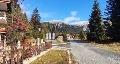 Family studio with own yard and fireplace near the ski resort Pamporovo