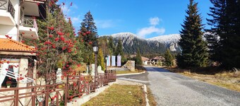 Family studio with own yard and fireplace near the ski resort Pamporovo