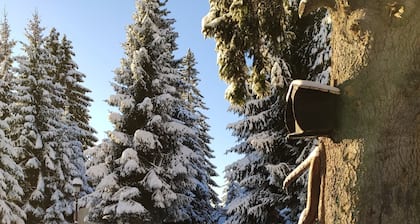 Family studio with own yard and fireplace near the ski resort Pamporovo
