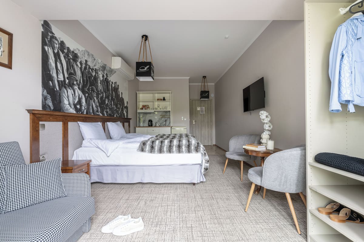 A bedroom with a bed, a sofa, a chair, a TV, a wardrobe, and a painting on the wall.