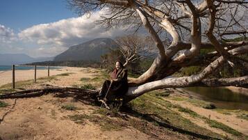 A person sitting under a large tree by a beach with a mountain in the background.