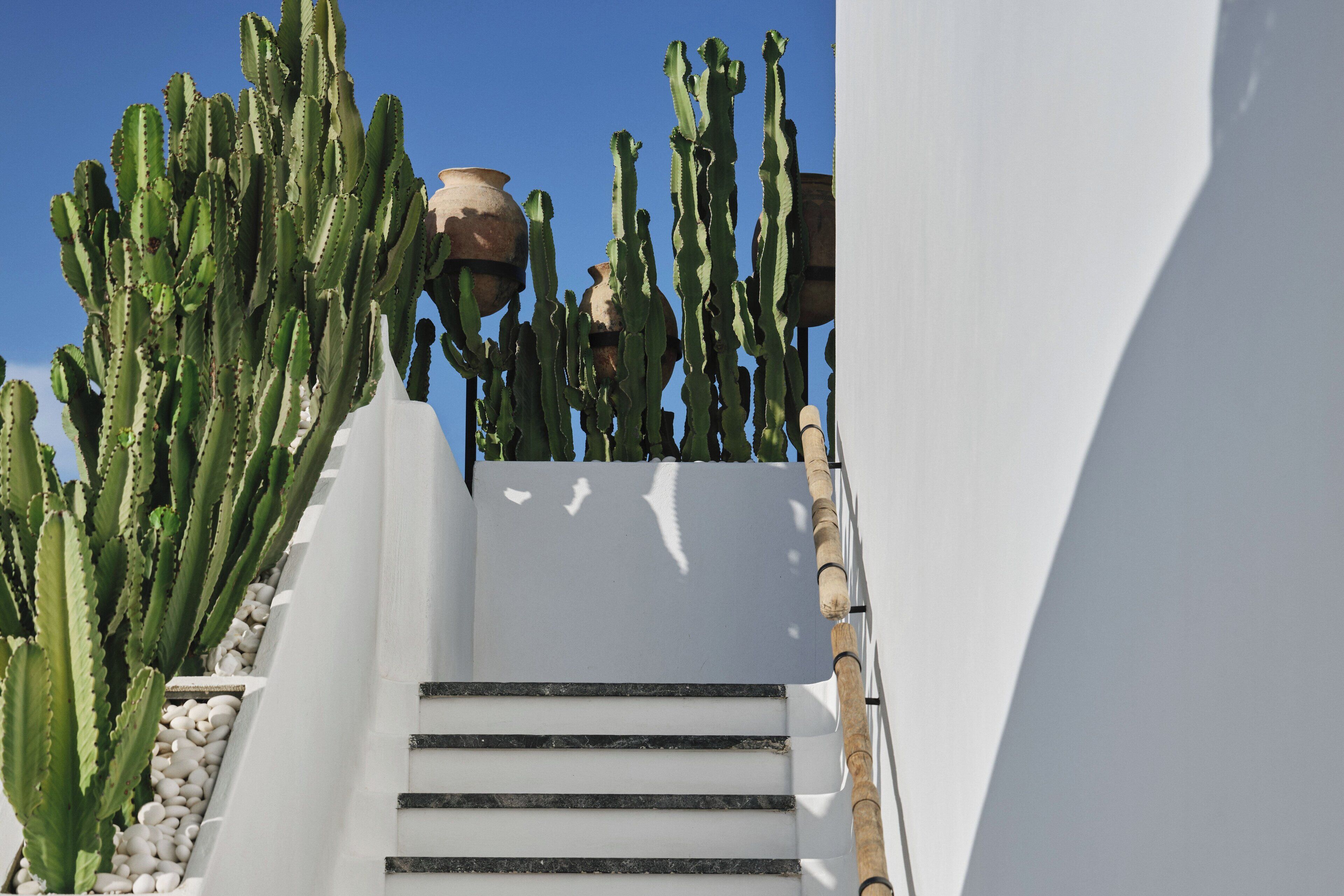 Photo - Myconian O, a Member of Design Hotels